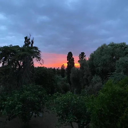 La Frasca Fresca *