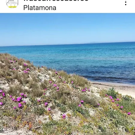 La Frasca Fresca *